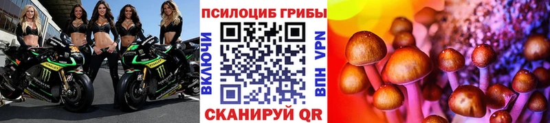 Галлюциногенные грибы Psilocybe  hydra ONION  Окуловка 
